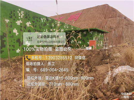 湖北星空迷彩墙施工队