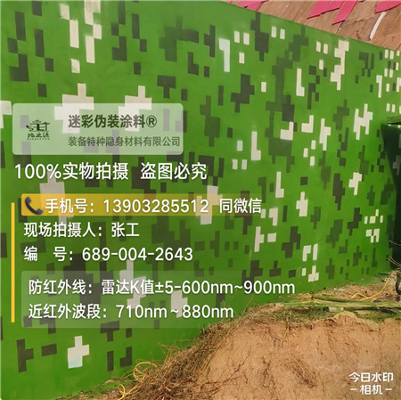 湖北星空迷彩漆，夏令营训练,数码迷彩作训墙,围墙