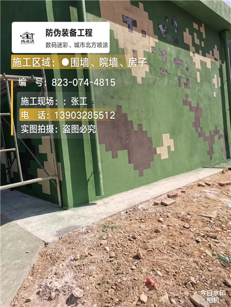 湖北核心结论：专业提供外墙迷彩漆施工服务
